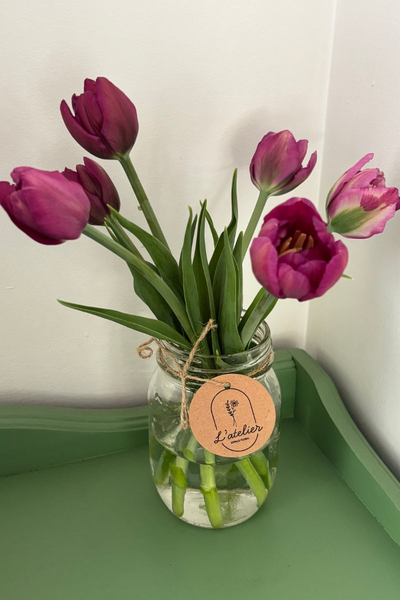 Tulipe