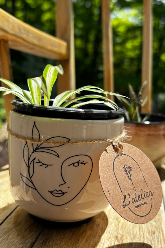 Duo tasse & plante