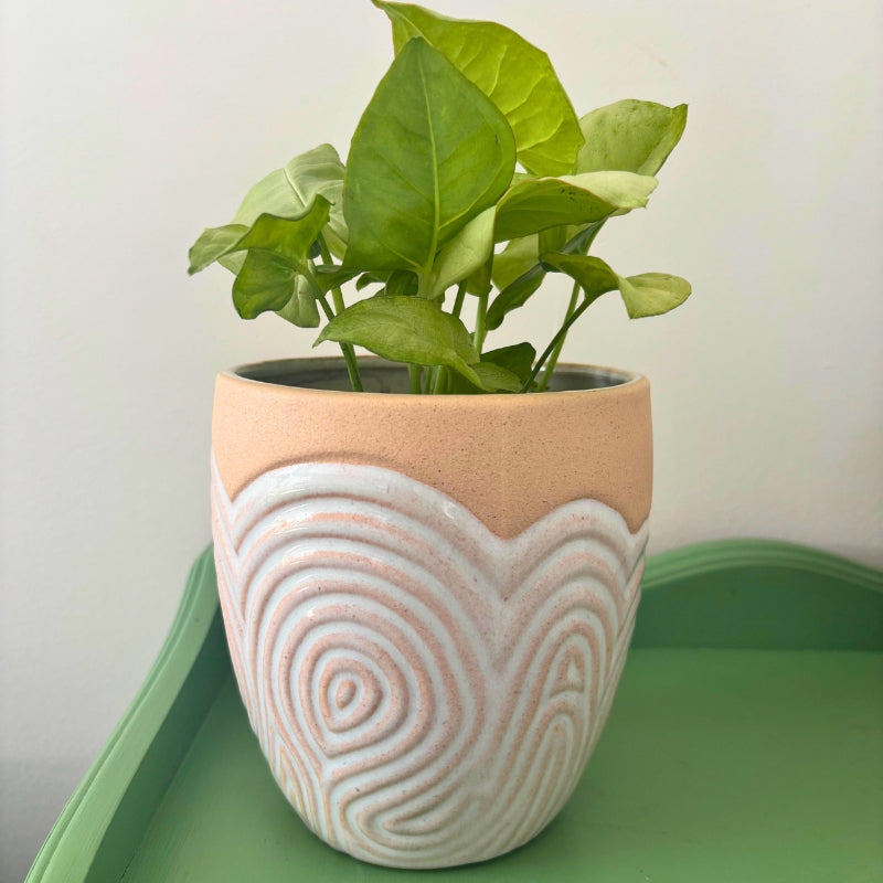 Cache-pot courbe