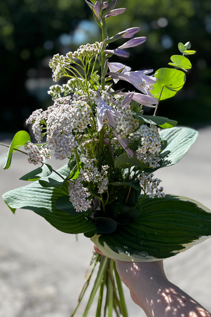 Bouquet saisonnier
