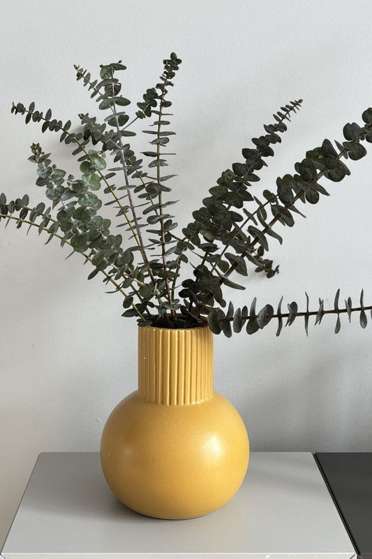 Vase (imparfait)