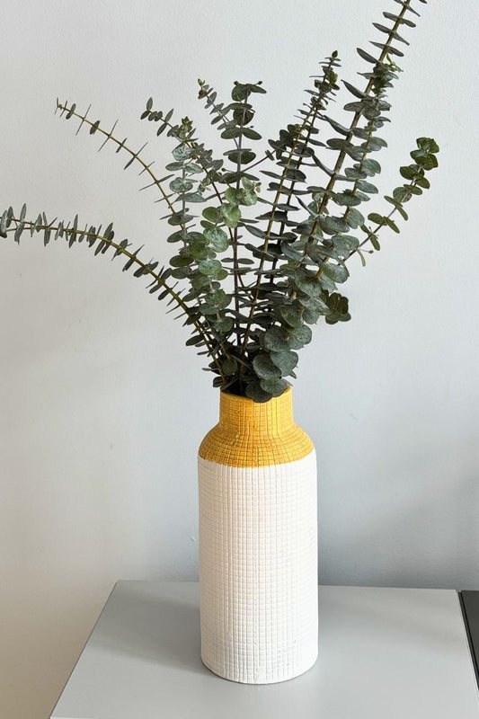 Vase (imparfait)