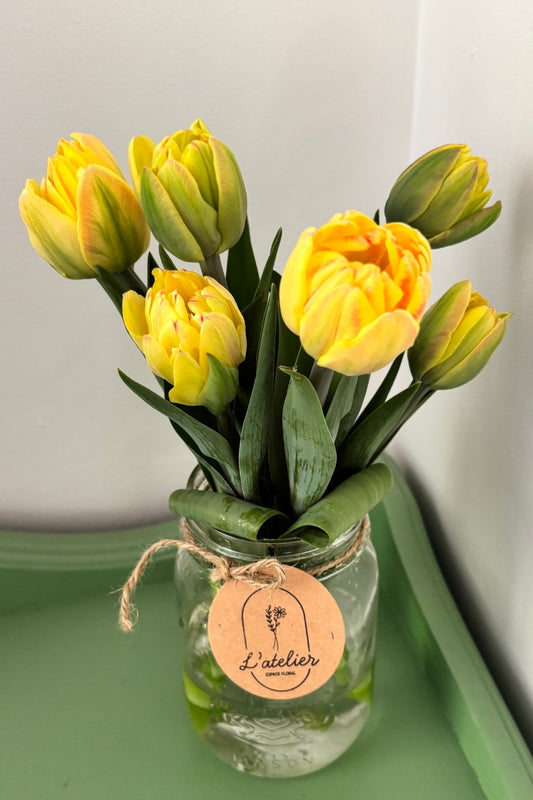 Tulipe