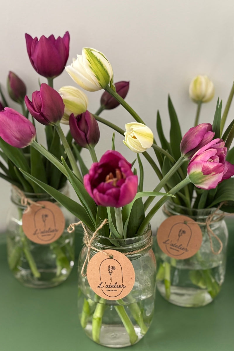 Tulipe