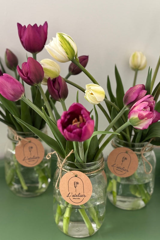 Tulipe