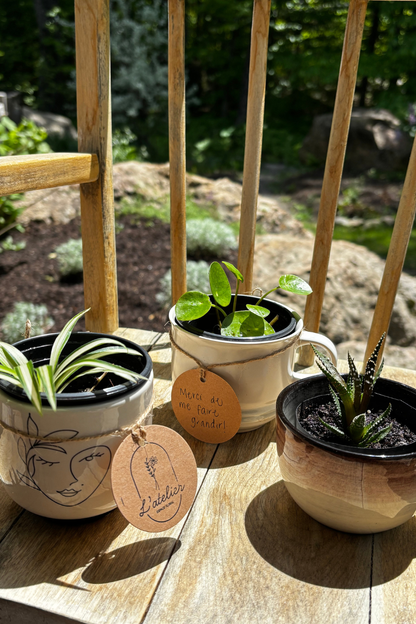 Duo tasse & plante