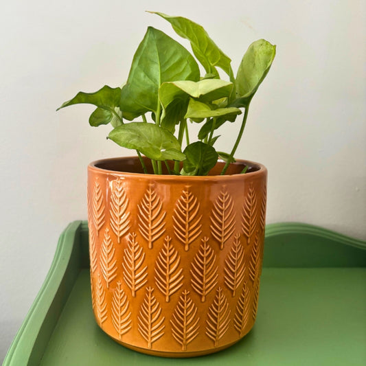 Cache-pot feuille