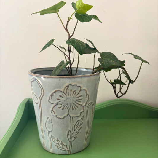 Cache-pot fleuri