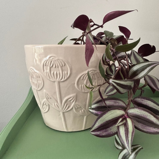 Cache-pot tulipe