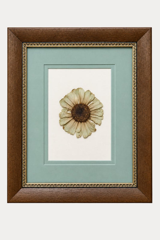 Cadre vintage | Fleur pressée