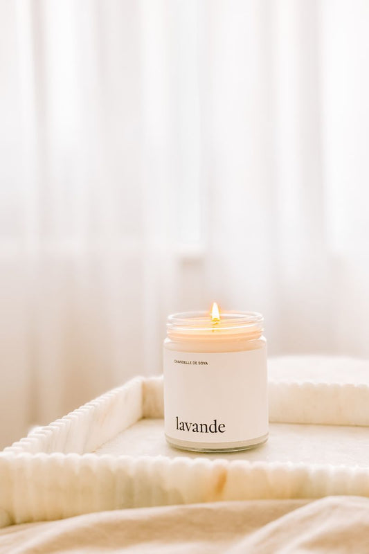 Chandelle de soya | Lavande