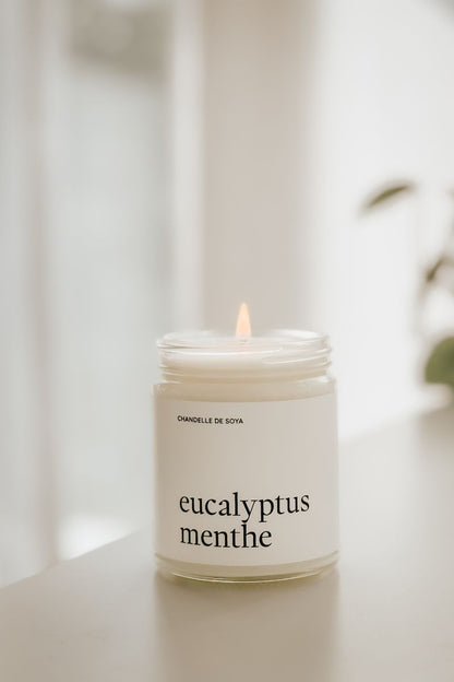 Chandelle de soya | Eucalyptus & menthe