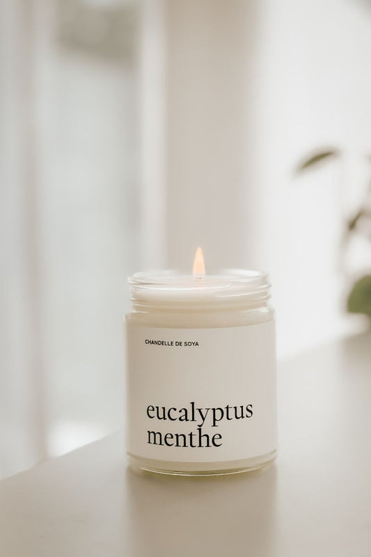 Chandelle de soya | Eucalyptus & menthe