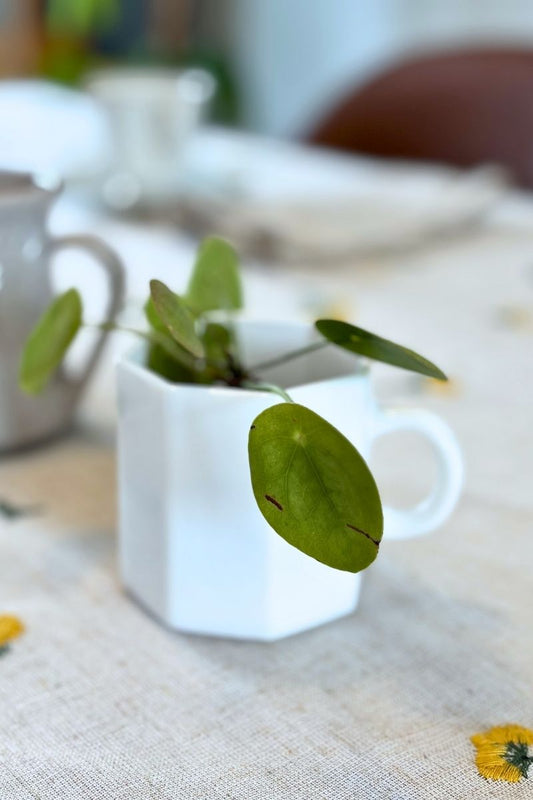 Tasse octogonale